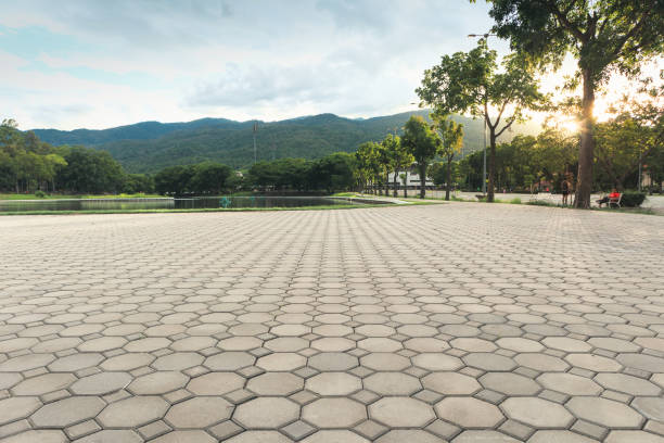 Professional Driveway Pavers in Mustang Ridge, TX